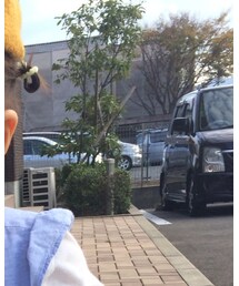 GAP | シャツ/ブラウス