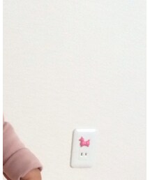 韓国 | Tシャツ/カットソー