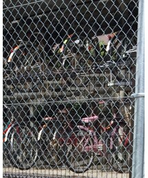 GLOBAL WORK | パーカー