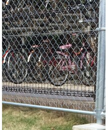 F.O.KIDS | Tシャツ/カットソー