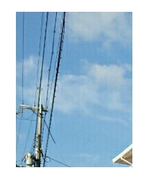 VISION STREET WEAR | キャップ