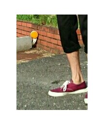 Top sider | スニーカー