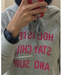 Hollister | パーカー