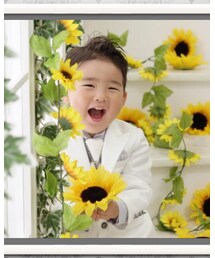 スタジオアリス | その他