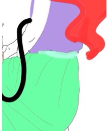 Disney sea | スカート