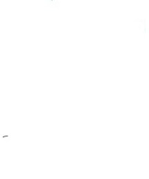 大和郡山 | 浴衣