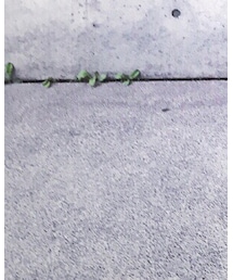 MYne | ワンピース