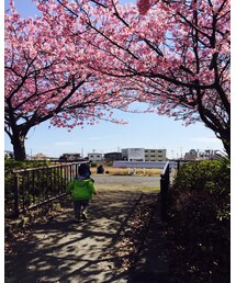 ☺︎ | その他