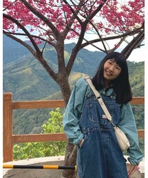 POLO | ポロシャツ