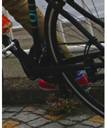 Bianchi | その他