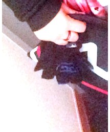 STUSSY | 手袋