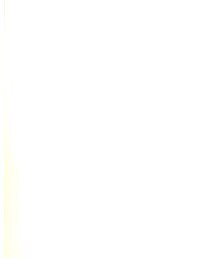 no brand | シャツ/ブラウス