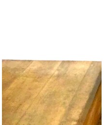 NIKE SB | スニーカー