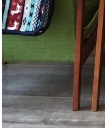 NIKE SB | スニーカー