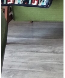 Reebok | スニーカー