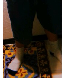 TOMMY HILFIGER | ソックス/靴下