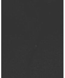 the Sakaki | スタジャン