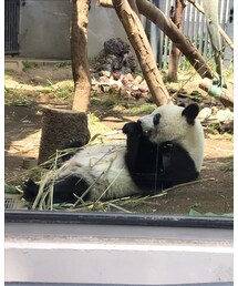 香香🐼 | その他