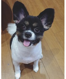 梅さん | その他