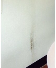 ピイシーズ 穂積りな | その他