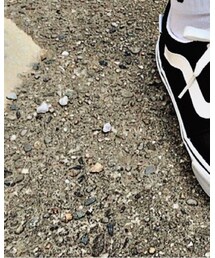 VANS | シューズ