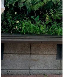 LOEWE | トートバッグ