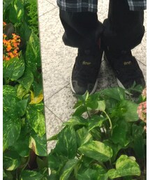 Reebok | スニーカー