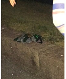 chilly | クラッチバッグ