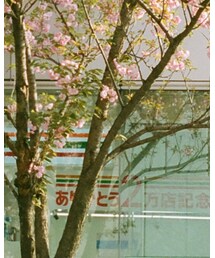no brand | トップス