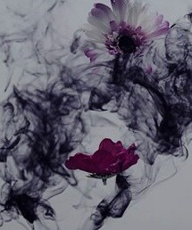 Zara
(Tシャツ/カットソー)