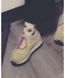 PONY | スニーカー