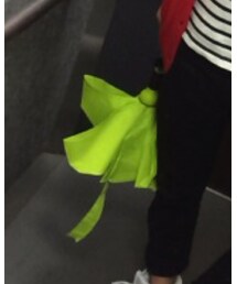 綺麗な色でしょ！ | 折りたたみ傘