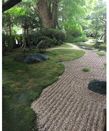 枯山水 | ブーツ