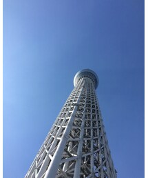 スカイツリー | 福袋/福箱