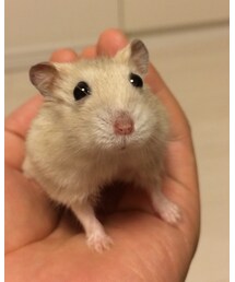 ジャグさん❗️頑張ってチュ〜😄 | 福袋/福箱