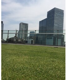 BEAMS | シャツ/ブラウス