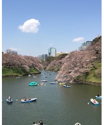 今日は千鳥ヶ淵にいてきた🌸 | その他