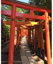 湯島天神⛩ | その他