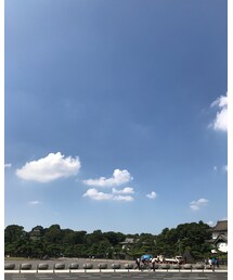 皇居でタコ飯🙌🏻 | 皇居前公園で駅弁😋(タンクトップ)