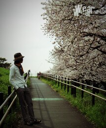 いつものTOP写真風(その他)