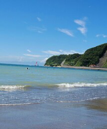 水は綺麗ではない | その他