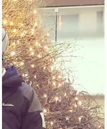 DORCUS | キャップ