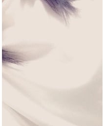 NICE CLAUP | Tシャツ/カットソー