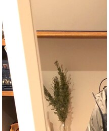 Gramicci | デニムパンツ