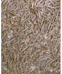 ports | トップス