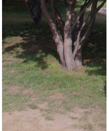 ZARA KIDS | バッグ