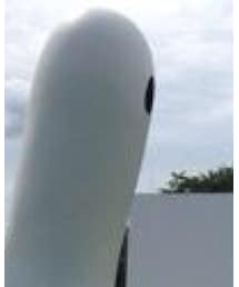 インゲス・イデーのゴースト | その他