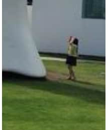 全然知らない人 | その他