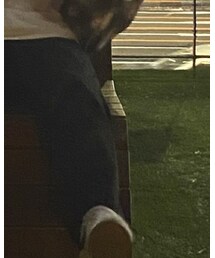 Dickies | その他パンツ