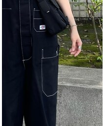 Dickies | オールインワン・サロペット